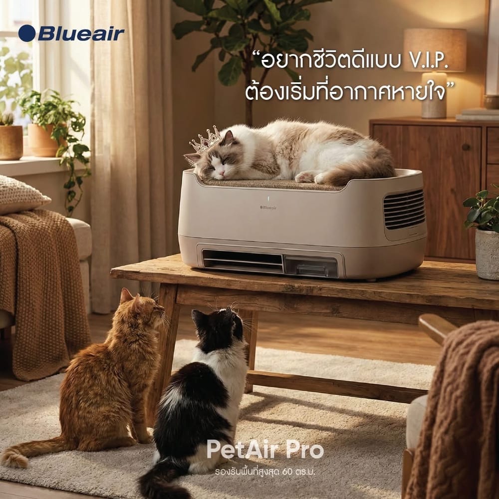 เครื่องฟอกอากาศ BLUEAIR รุ่น PETAIR PRO (เหมาะกับพื้นที่ 25-60 ตร.ม.)